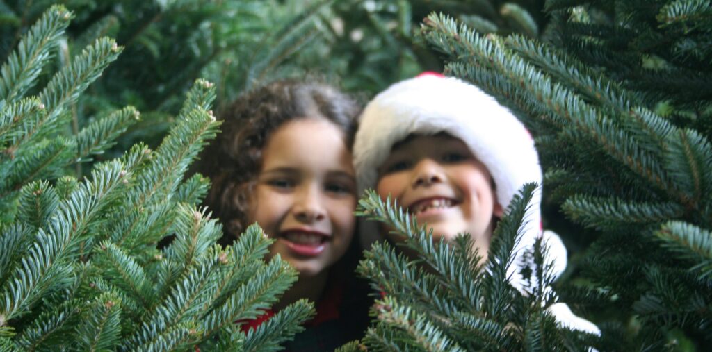 Two children in santa hats peeking out of a christmas tree.